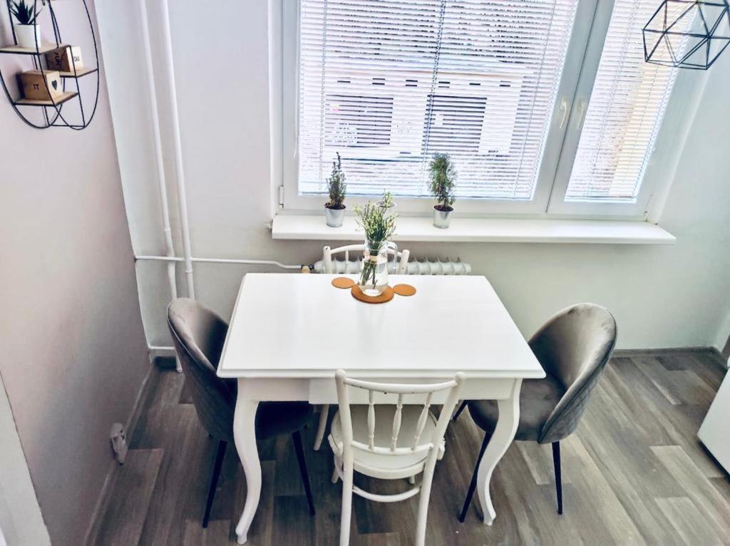 Apartment Domov