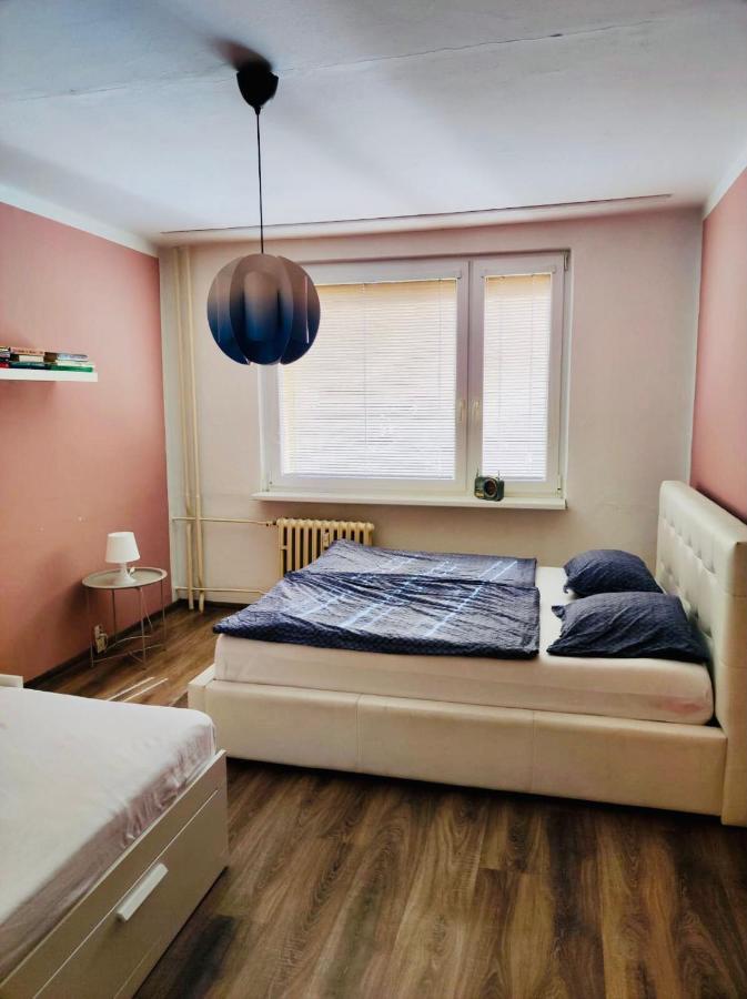 Apartment Domov *
