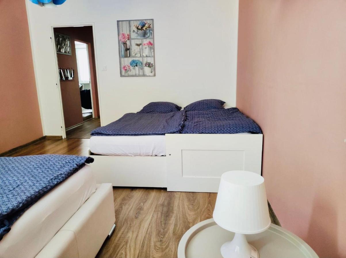 Apartment Domov *